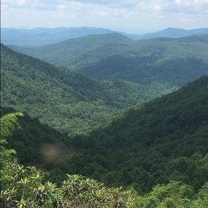 Meet your Posher, Lee ann